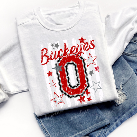 Ohio Buckeyes Distressed Star Tee & Sweatshirt