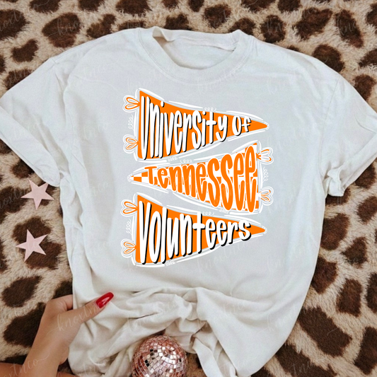 Tennessee Volunteers T-Shirt or Sweatshirt | Volunteer State Graphic Tee | Vols UT
