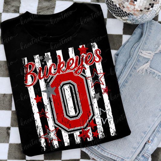 Ohio Buckeyes Distressed Star Tee & Sweatshirt