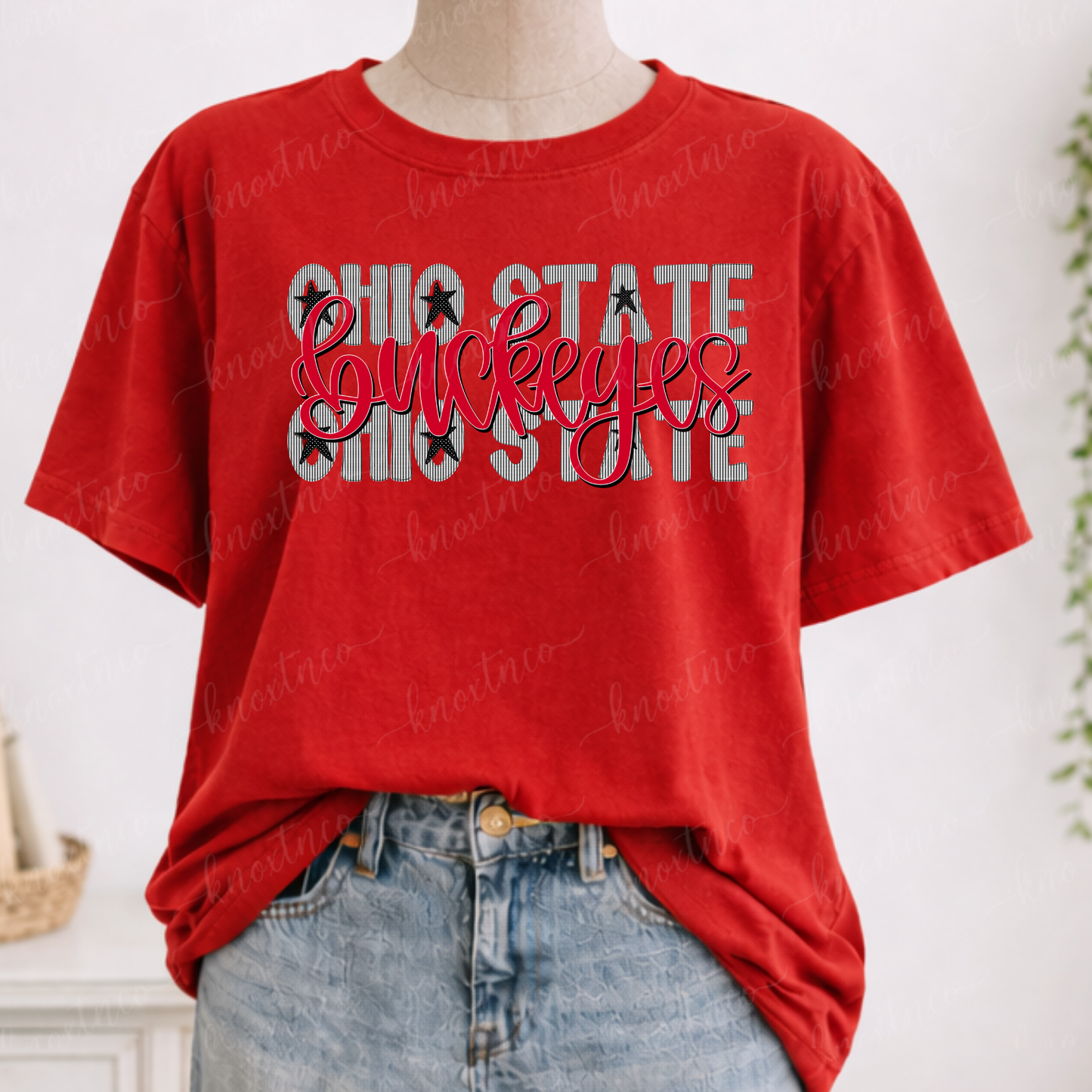 Ohio Buckeyes Seersucker Graphic Stars and Stripes Tee & Sweatshirt
