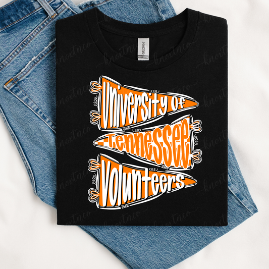 Tennessee Volunteers T-Shirt or Sweatshirt | Volunteer State Graphic Tee | Vols UT